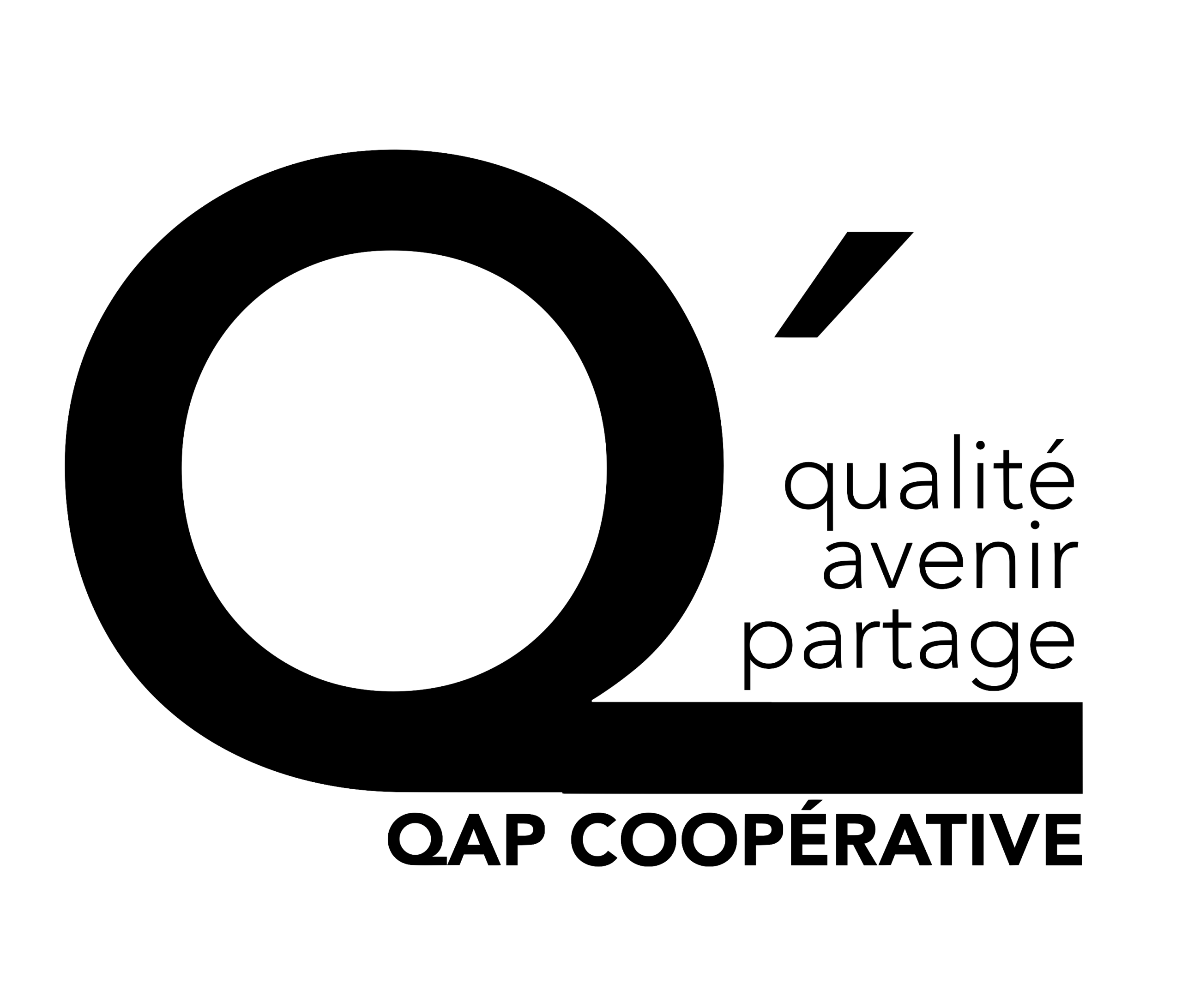 Logo-QAP